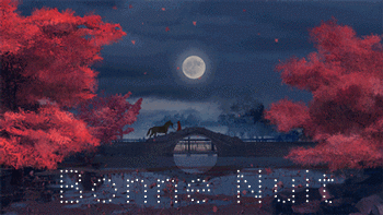 bonne nuit pont